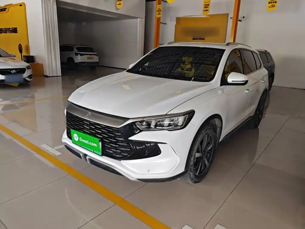 BYD Pro New Energy