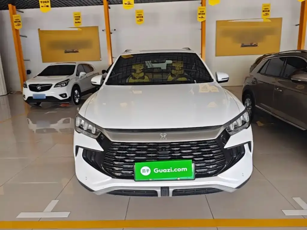BYD Pro New Energy 2024 из CN, фото 5