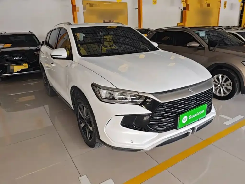 BYD Pro New Energy 2024 из CN, фото 6