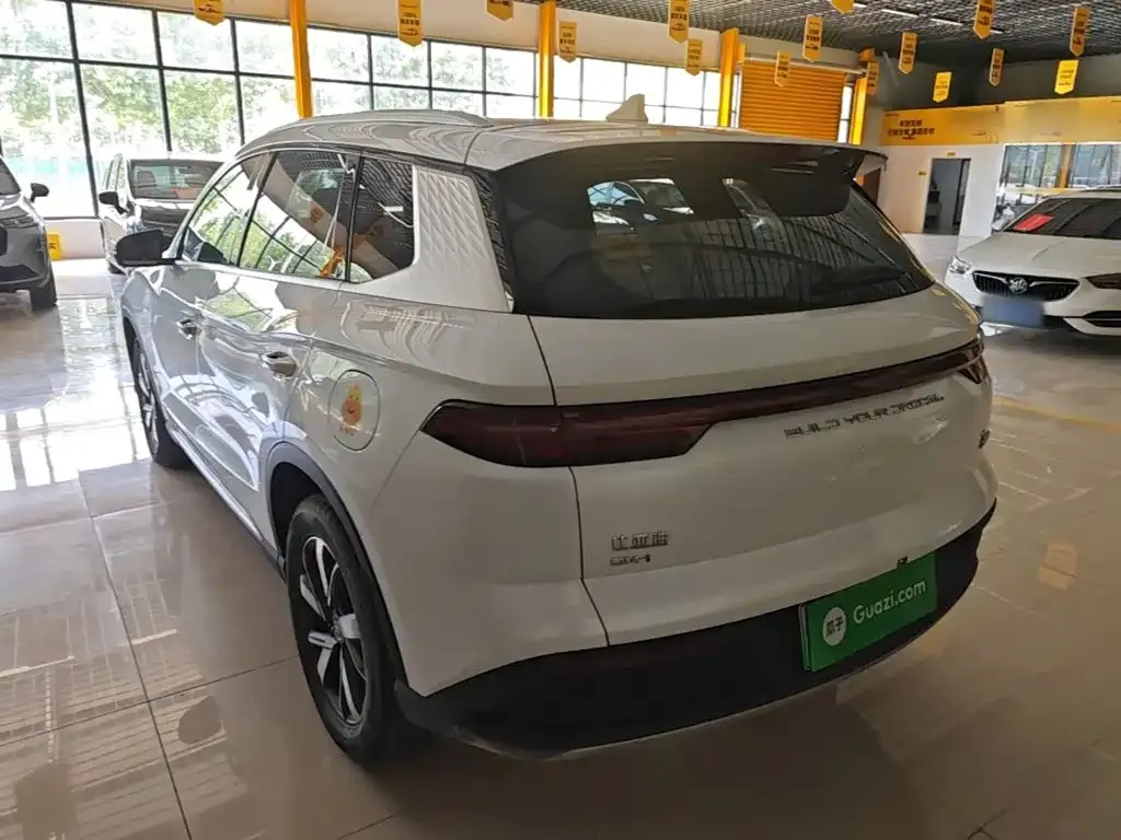 BYD Pro New Energy 2024 из CN, фото 10