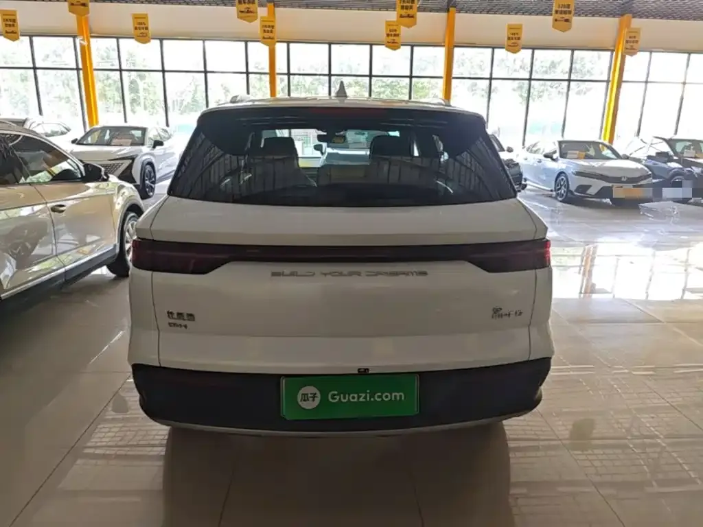 BYD Pro New Energy 2024 из CN, фото 9