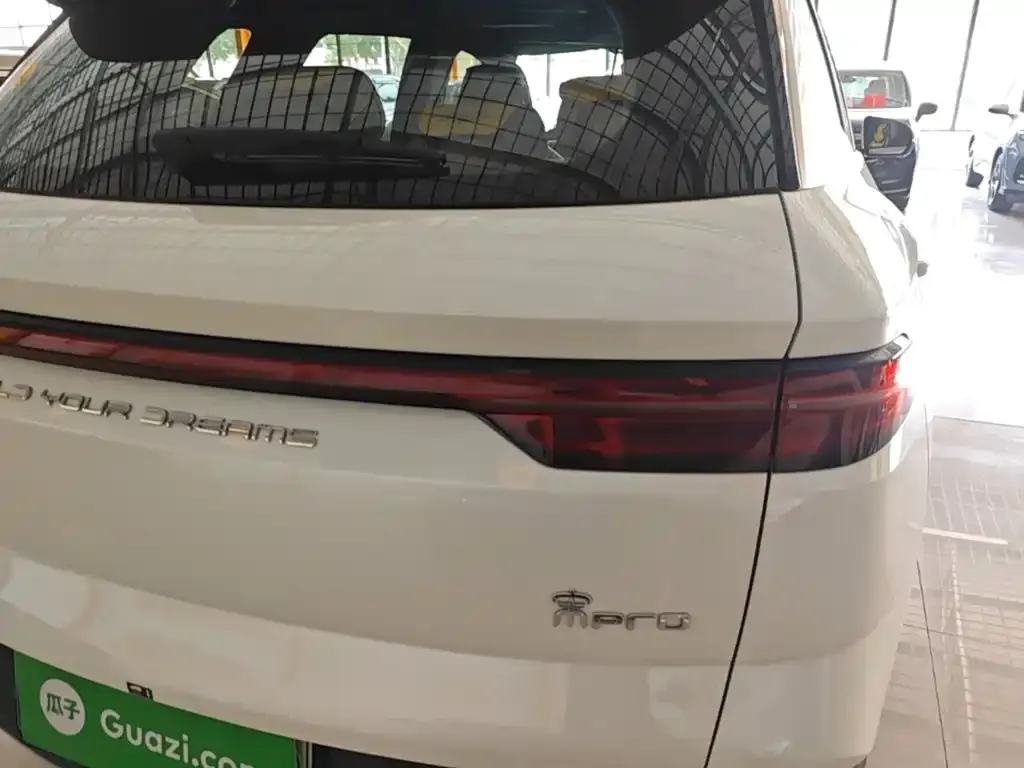 BYD Pro New Energy 2024 из CN, фото 8