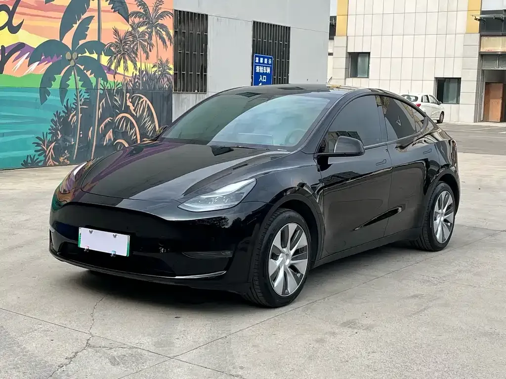 Tesla Model Y — фото 1