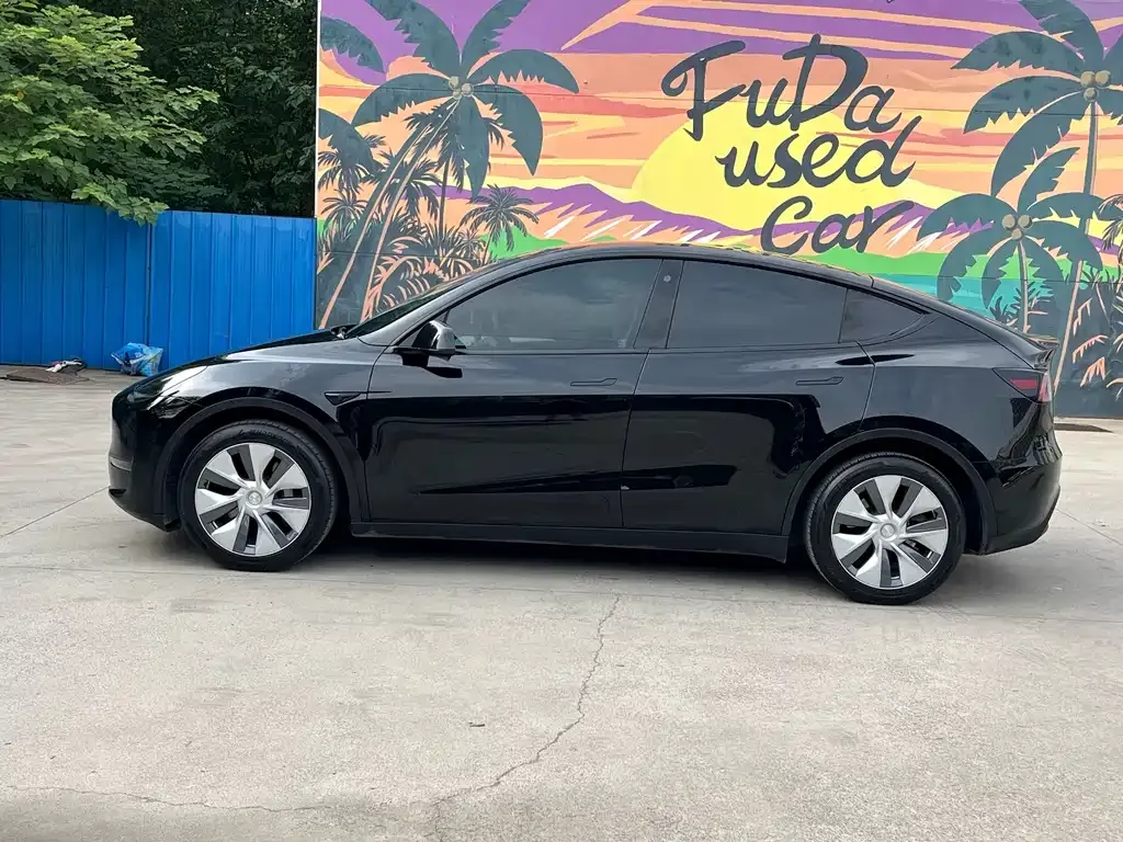Tesla Model Y — фото 9