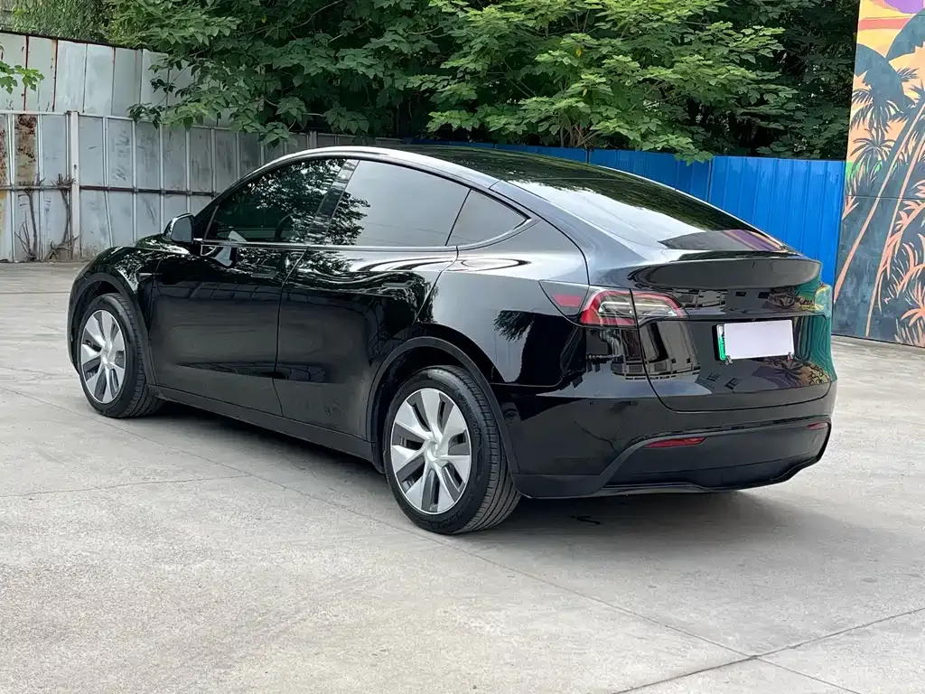 Tesla Model Y — фото 8
