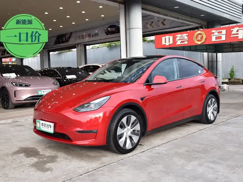 Tesla Model Y — фото 1
