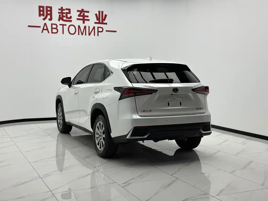 Lexus NX — фото 10