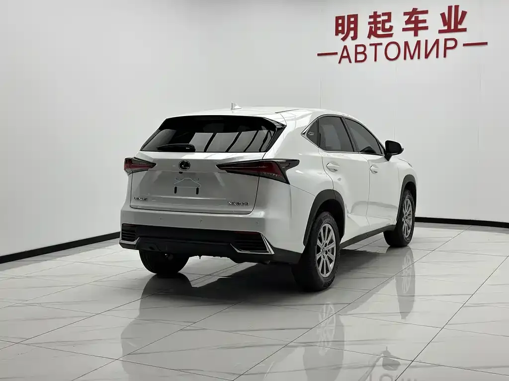 Lexus NX — фото 6