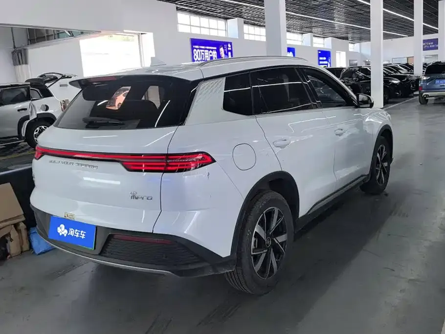 BYD Pro New Energy 2024 из CN, фото 5