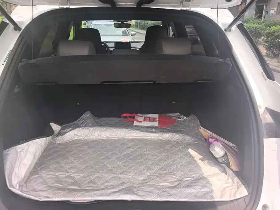 BYD Pro New Energy 2024 из CN, фото 3