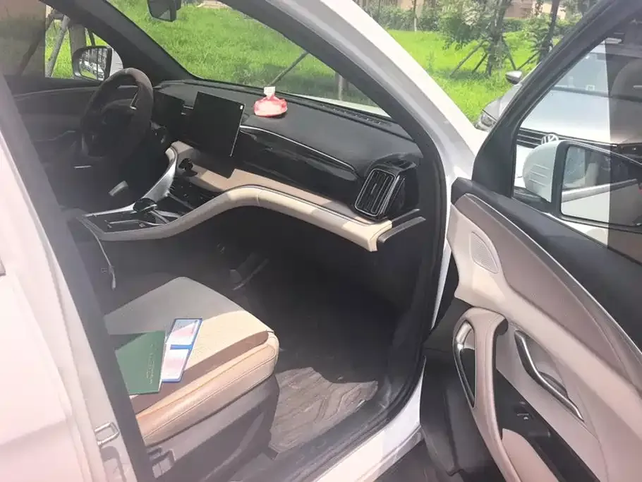 BYD Pro New Energy 2024 из CN, фото 2