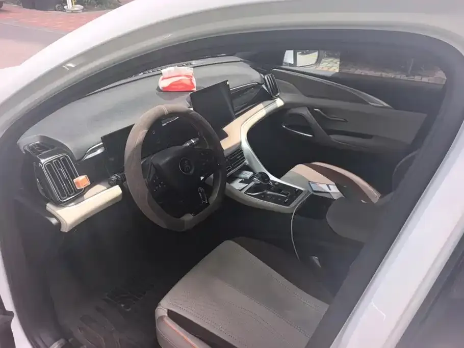 BYD Pro New Energy 2024 из CN, фото 4