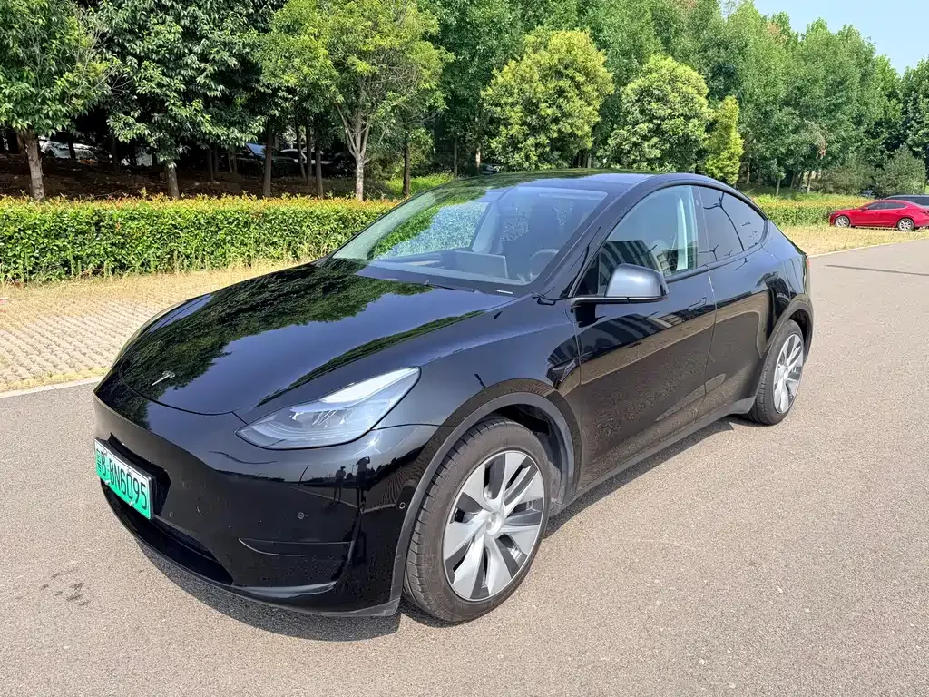 Tesla Model Y — фото 1