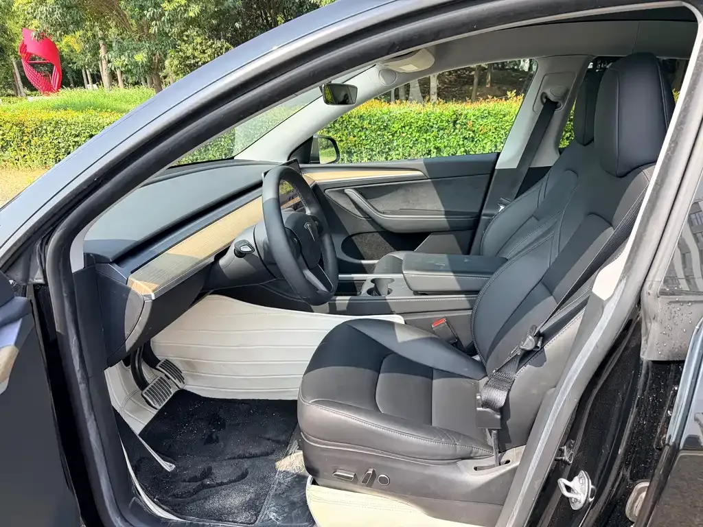 Tesla Model Y — фото 8