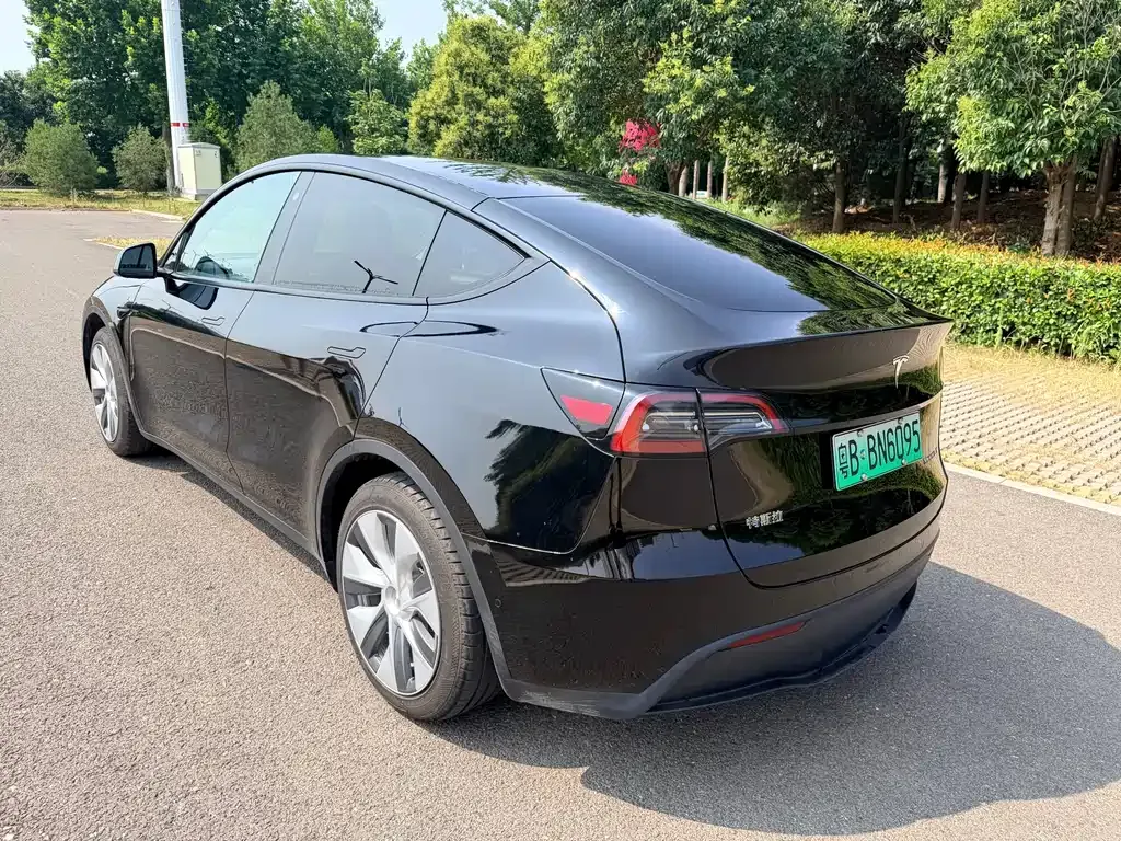 Tesla Model Y — фото 6