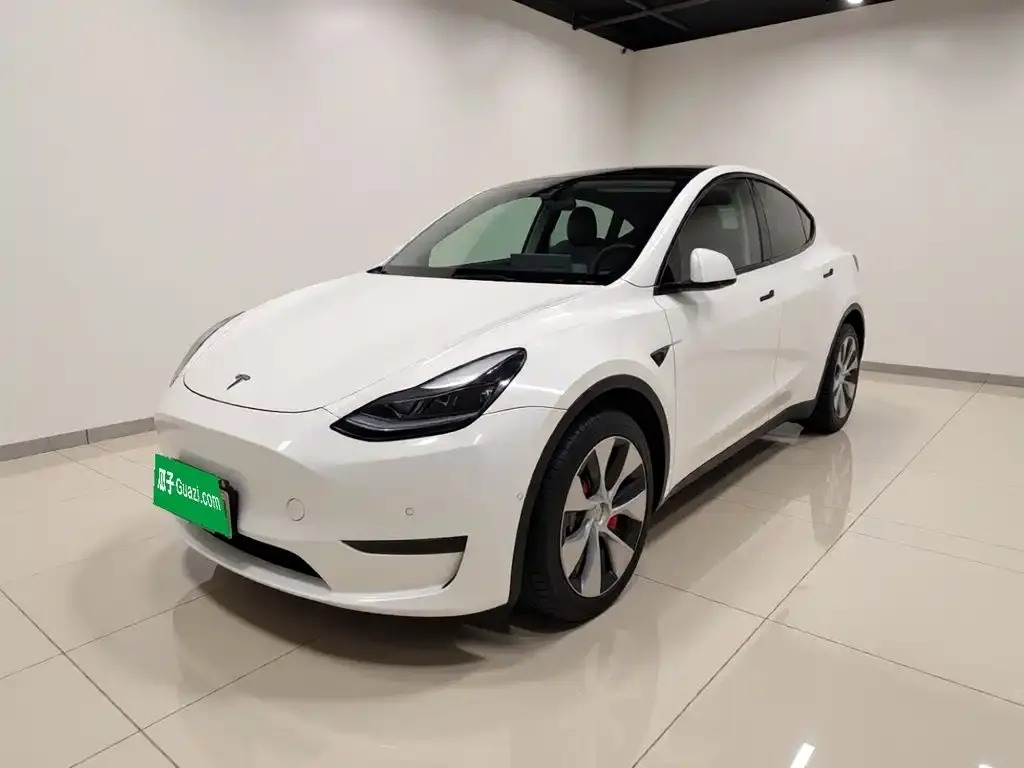 Tesla Model Y — фото 1