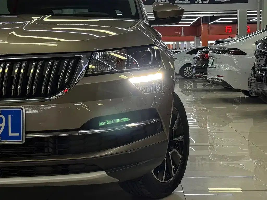 Skoda Karoq — фото 8