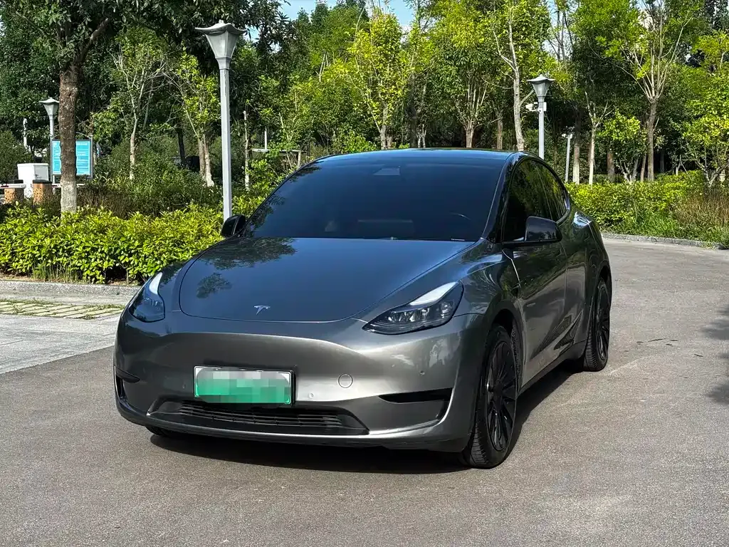 Tesla Model Y — фото 1