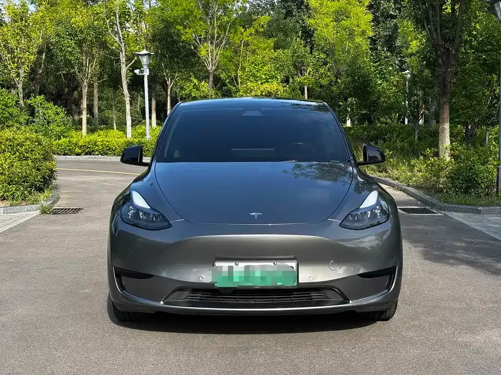 Tesla Model Y — фото 5