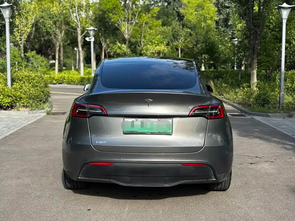 Tesla Model Y — фото 3