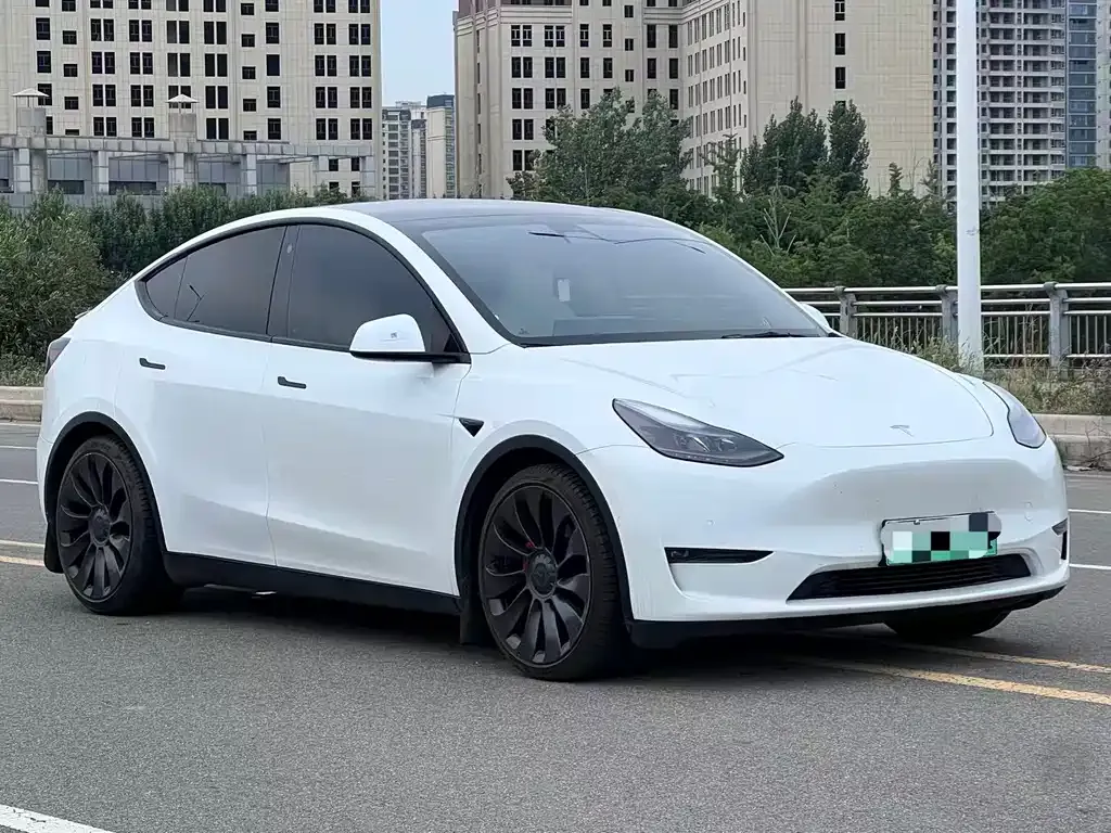 Tesla Model Y — фото 10