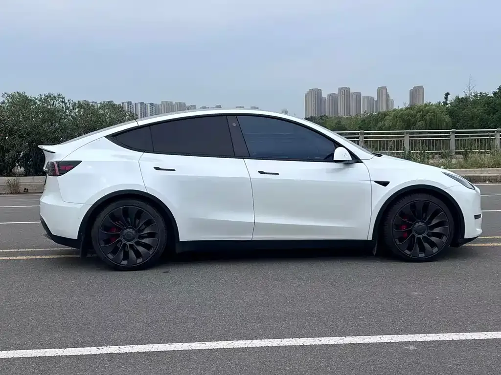 Tesla Model Y — фото 9
