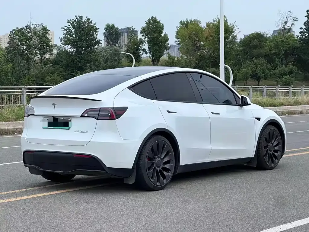 Tesla Model Y — фото 3