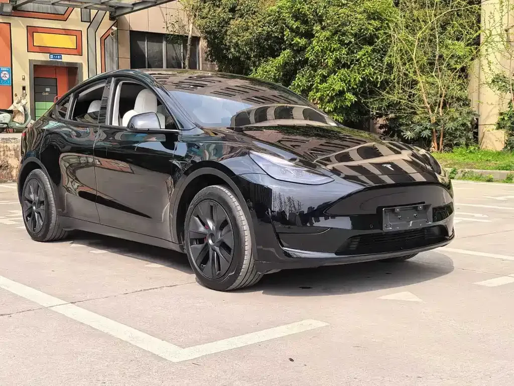 Tesla Model Y — фото 9