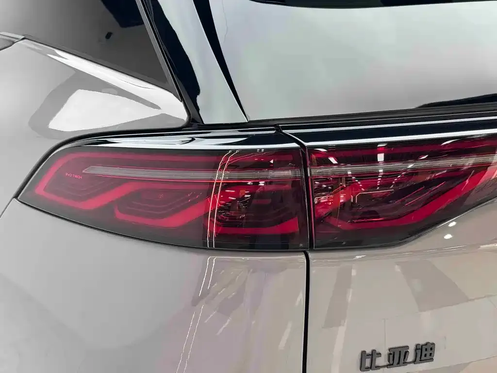 BYD Tang New Energy — фото 10