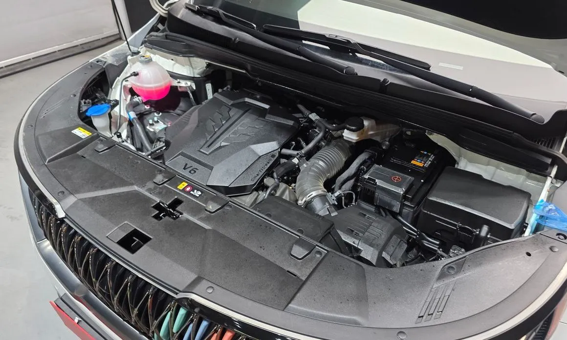 Kia Carnival — фото 10