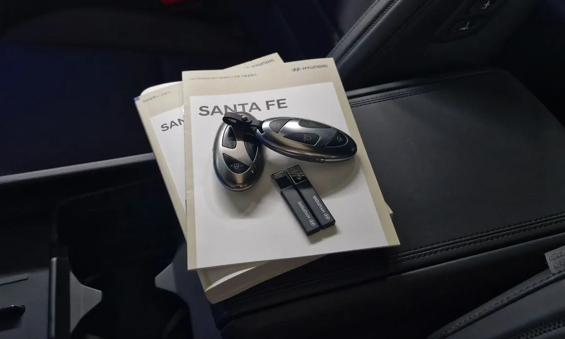 Hyundai Santafe — фото 2