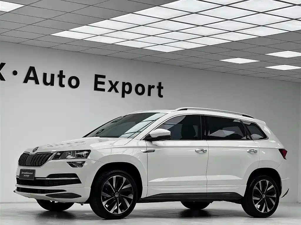 Skoda Karoq — фото 6