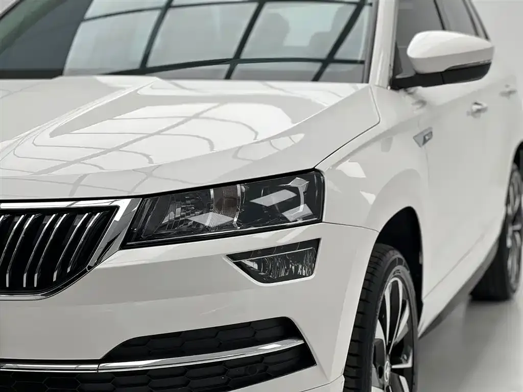 Skoda Karoq — фото 7