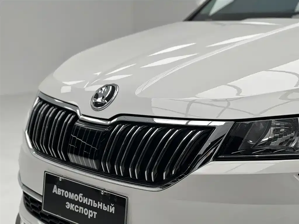 Skoda Karoq — фото 3