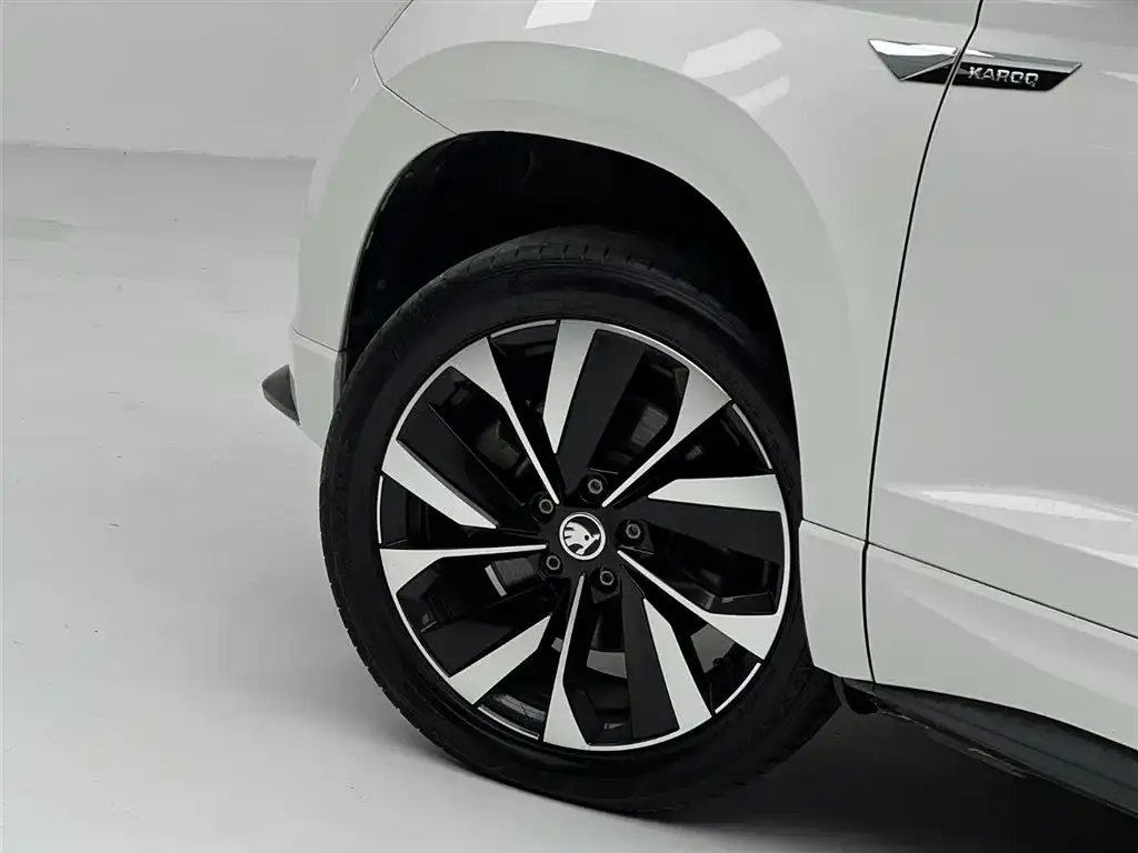 Skoda Karoq — фото 9