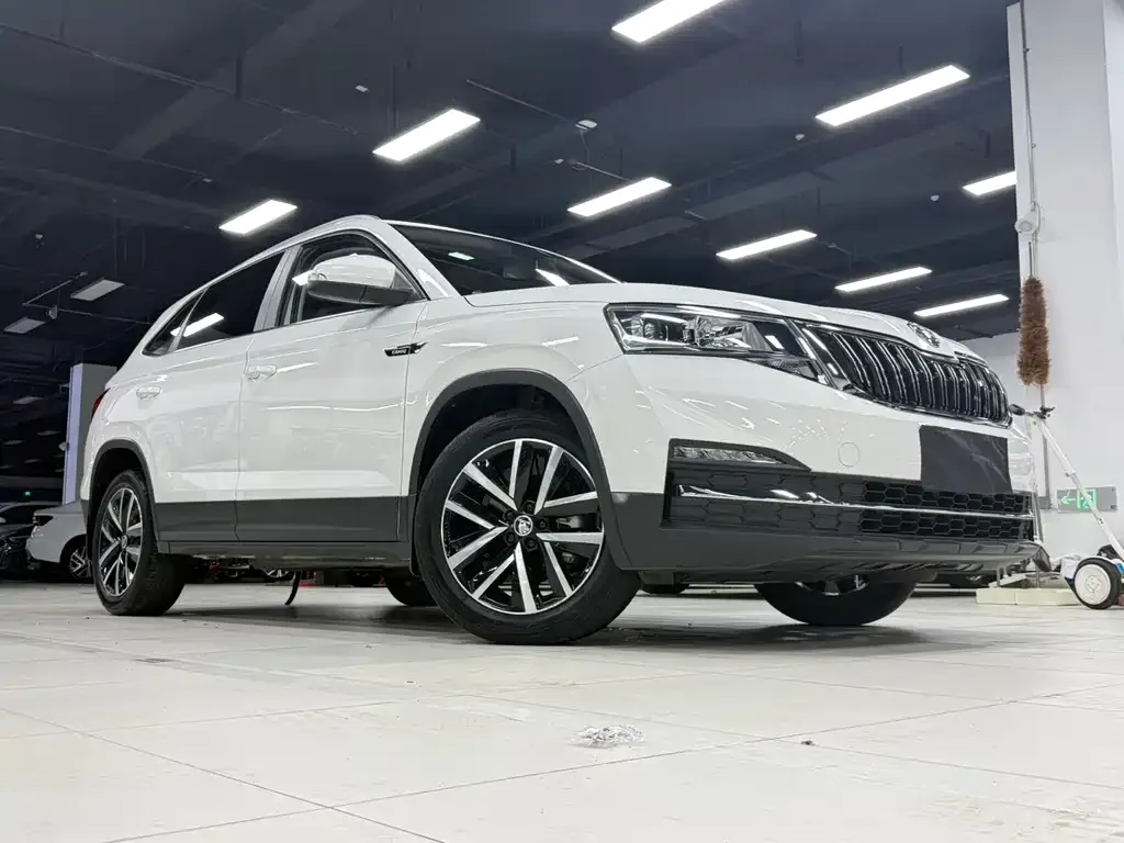 Skoda Kamiq — фото 6
