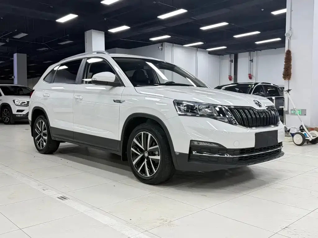 Skoda Kamiq — фото 7