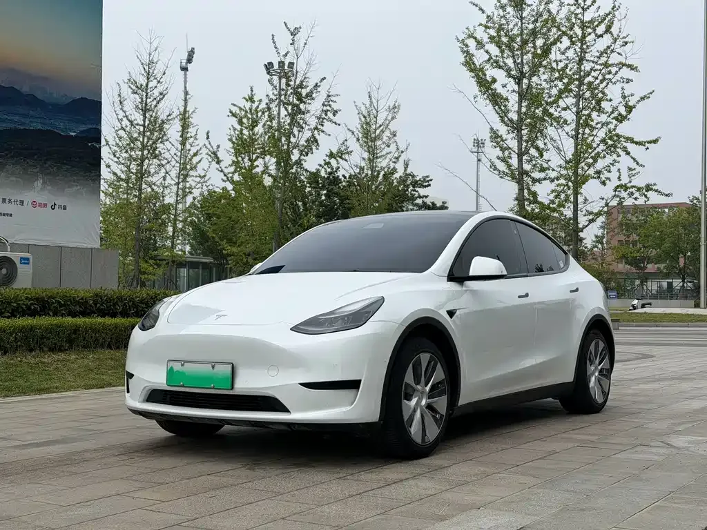 Tesla Model Y — фото 1