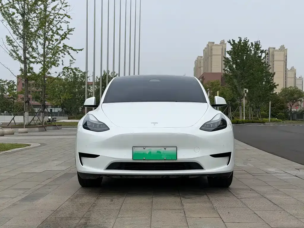 Tesla Model Y — фото 6