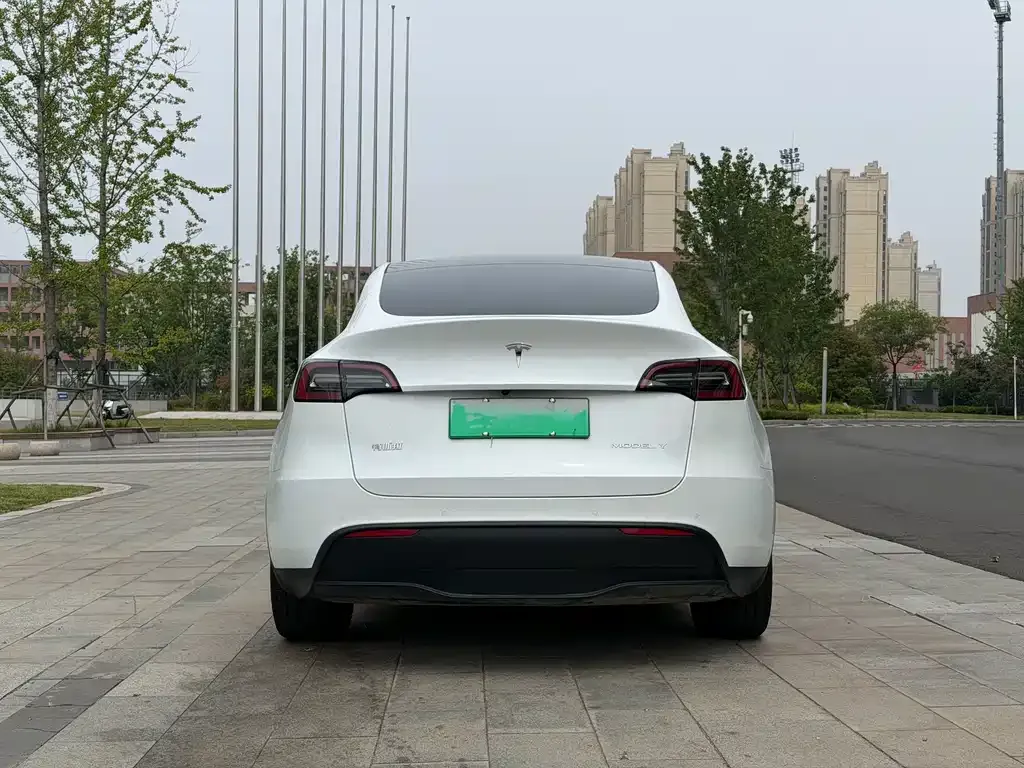 Tesla Model Y — фото 3