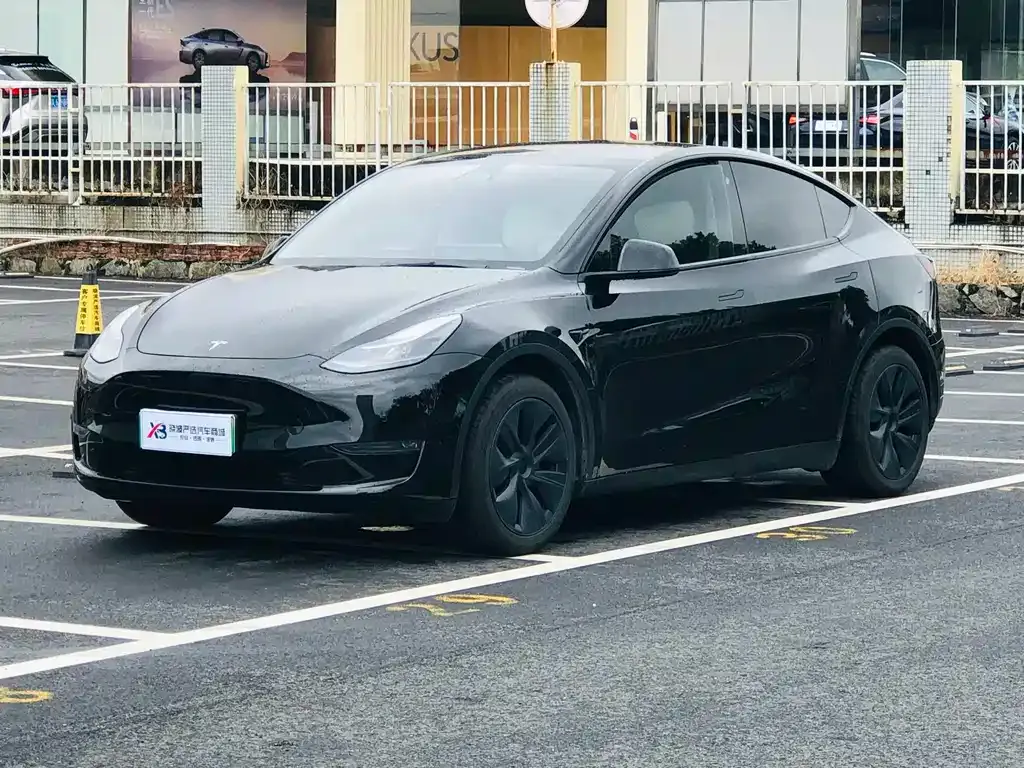 Tesla Model Y — фото 1