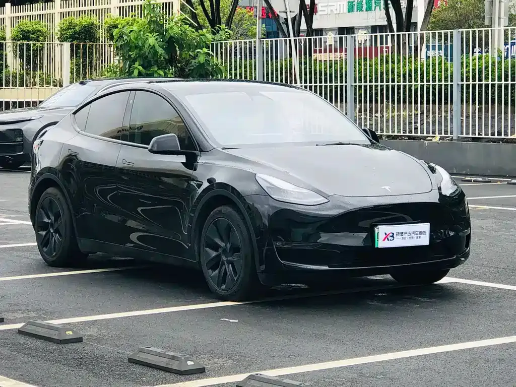 Tesla Model Y — фото 10