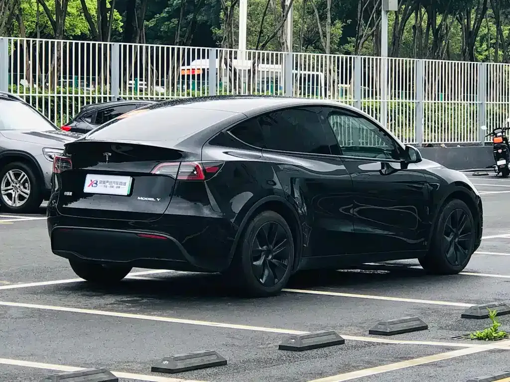 Tesla Model Y — фото 8