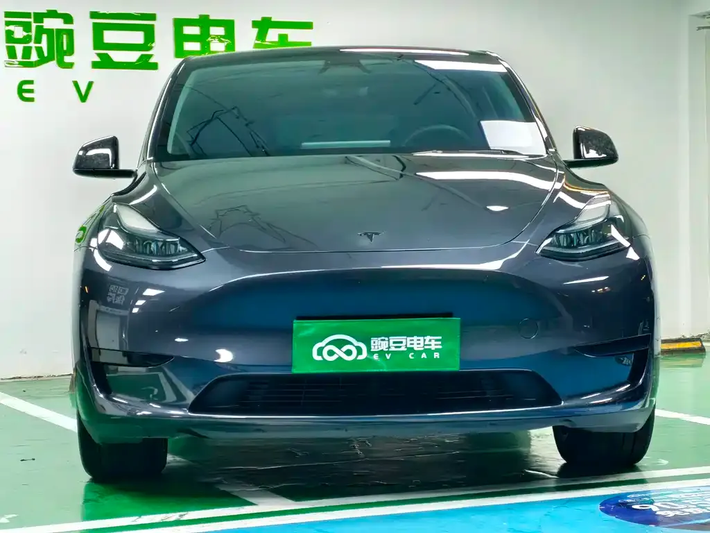 Tesla Model Y — фото 3