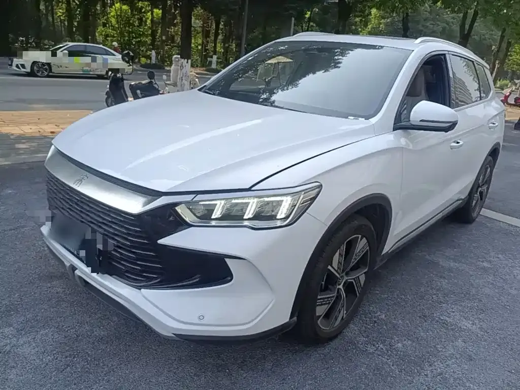BYD Pro New Energy — фото 1