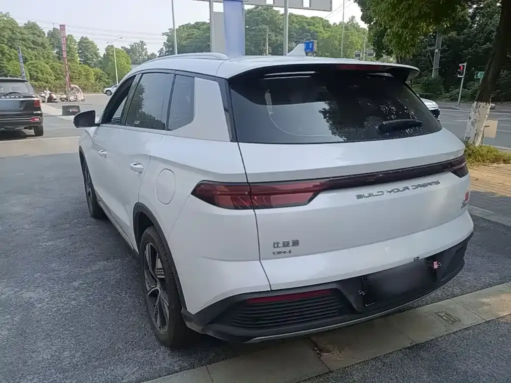 BYD Pro New Energy — фото 10