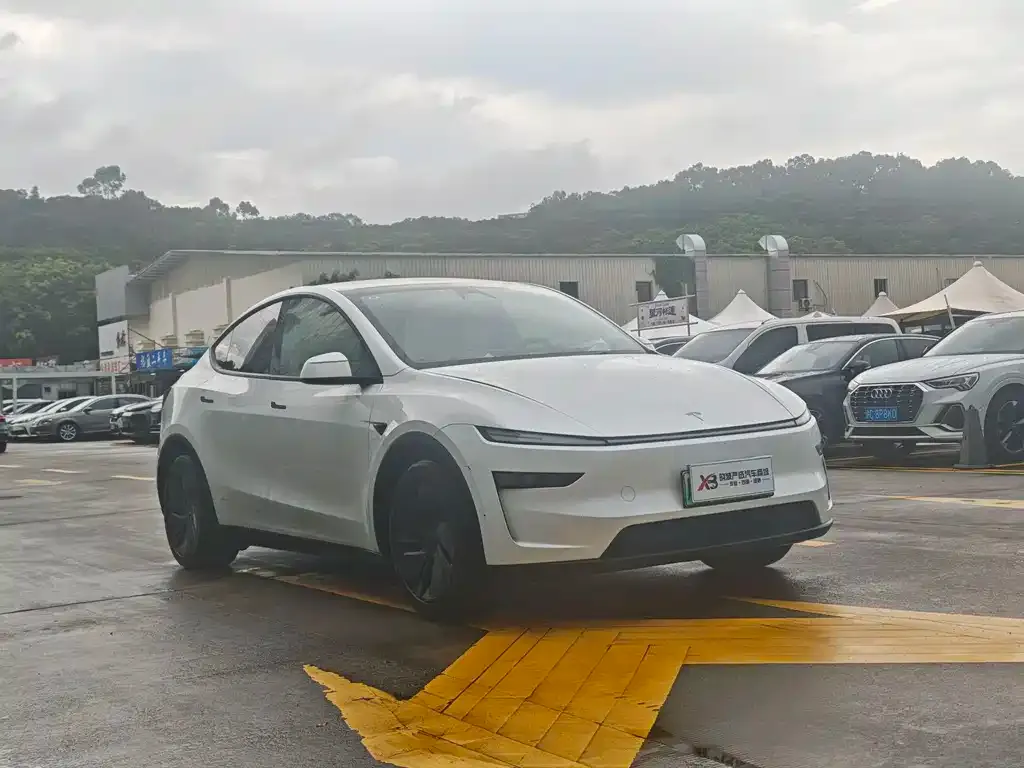 Tesla Model Y — фото 7