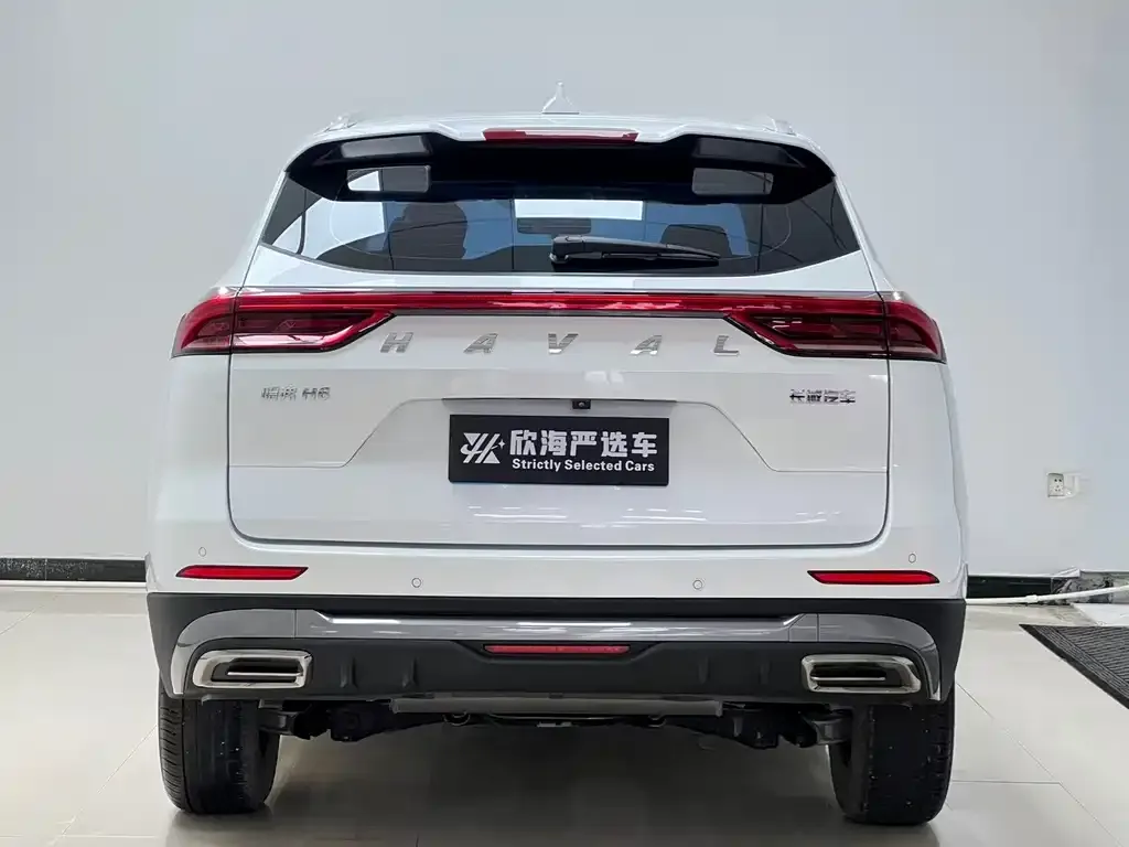 Haval H6 — фото 2