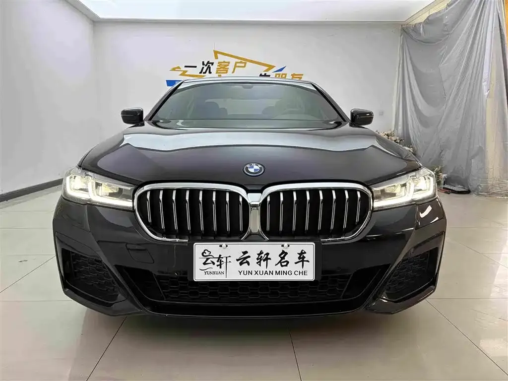BMW 5 Series New Energy 2022 из CN, фото 8