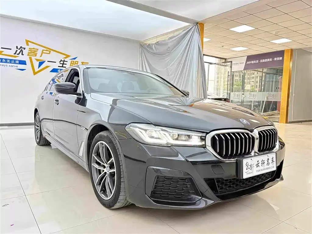 BMW 5 Series New Energy 2022 из CN, фото 3